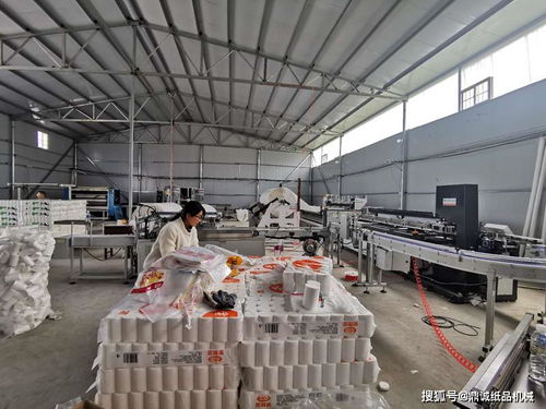 回农村老家办卫生纸加工厂还是钢压延加工厂，哪种更赚钱？