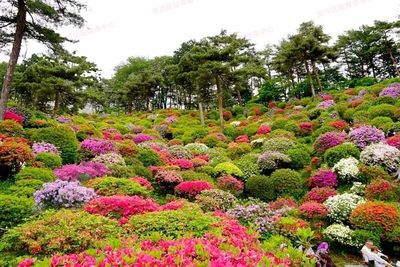 七月南川新景 蔬菜种植新去处，休闲农业新体验