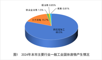 嘉峪关市2024年固体废物污染环境防治信息公告——聚焦钢压延加工行业